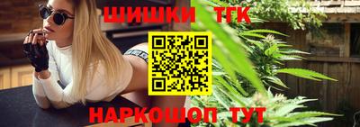 стаф Камышлов