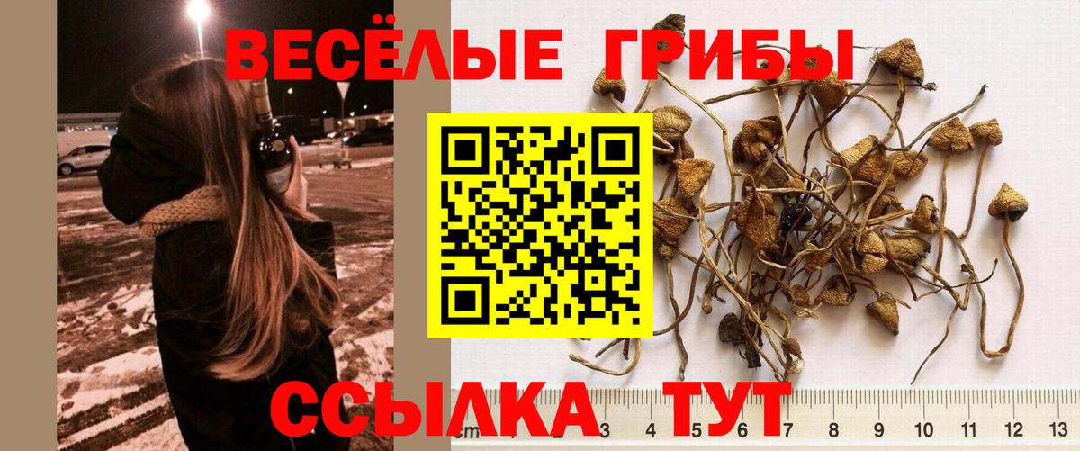 Псилоцибиновые грибы мухоморы  Вход с VPN  Кудымкар 