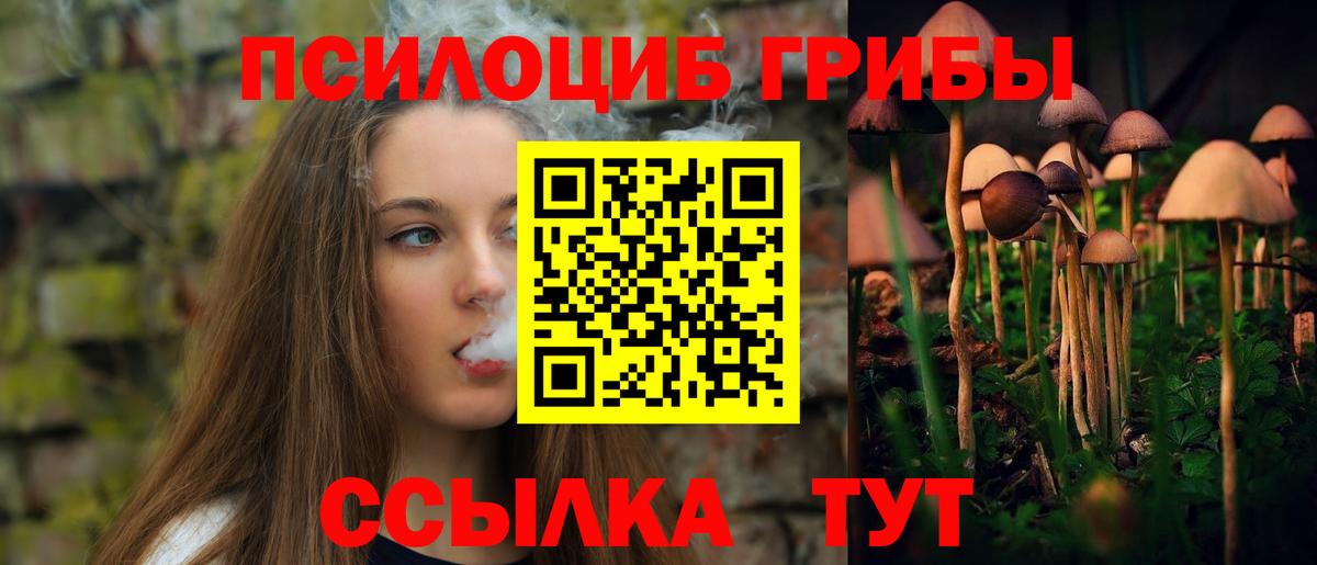 Галлюциногенные грибы прущие грибы Кудымкар